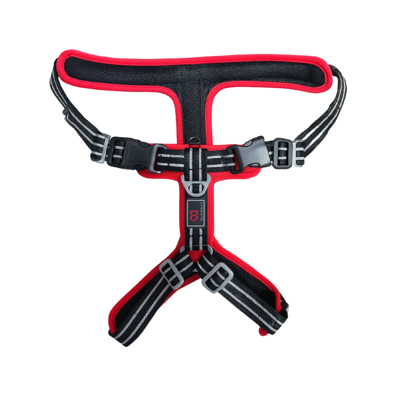 PR12 - Guia Resistente para Cães Antipuxão - Correia Ajustável para Cães Pequenos, Médios e Grandes com alça acolchoada e design ergonômico para segurança e conforto durante passeios.